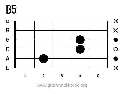 B5 Griffbild