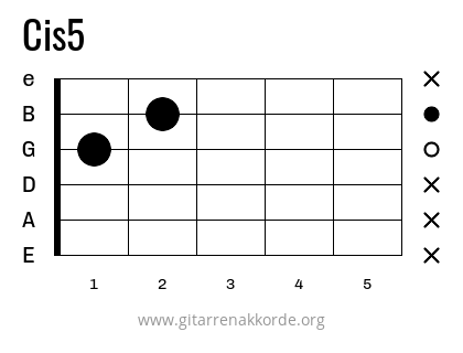 Cis5 Griffbild