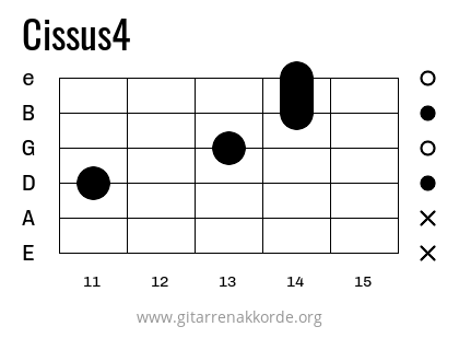 Cissus4 Griffbild