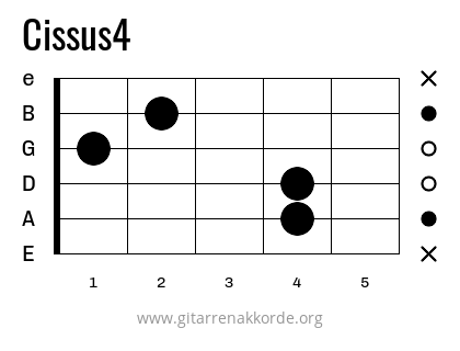 Cissus4 Griffbild