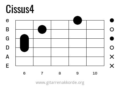 Cissus4 Griffbild