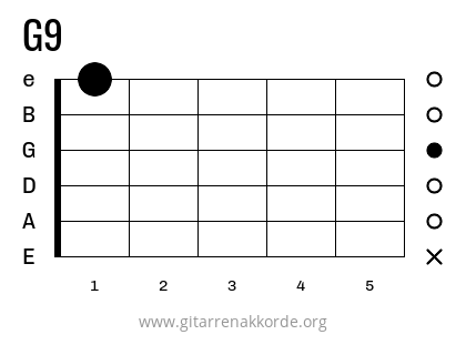 G9 Griffbild