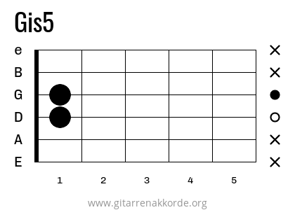 Gis5 Griffbild