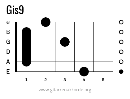 Gis9 Griffbild