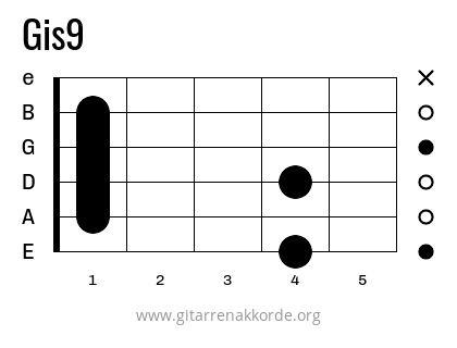 Gis9 Griffbild