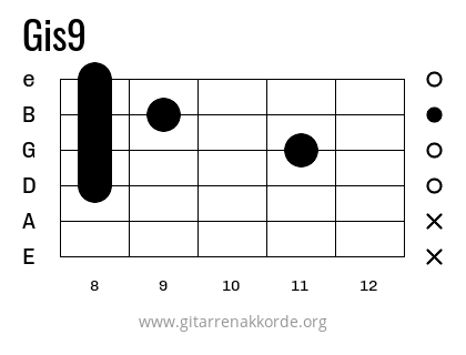 Gis9 Griffbild