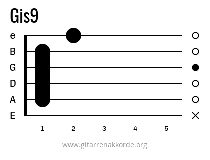 Gis9 Griffbild