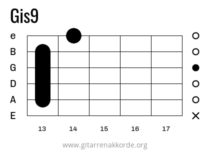 Gis9 Griffbild